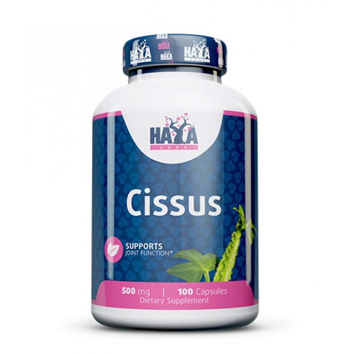 Haya Labs - Cissus 500mg. / 100 Caps